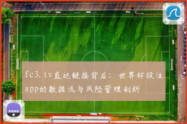 fc3.tv直达链接背后:世界杯投注app的数据流与风险管理剖析