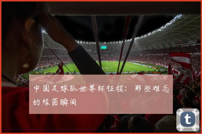 中国足球队世界杯征程：那些难忘的绿茵瞬间